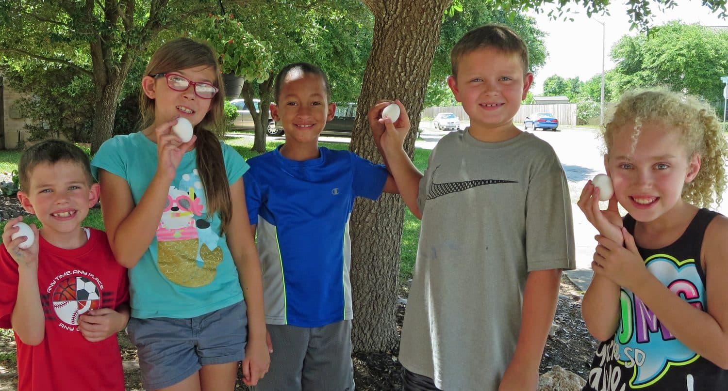 Egg Drops, photo 3 of 5