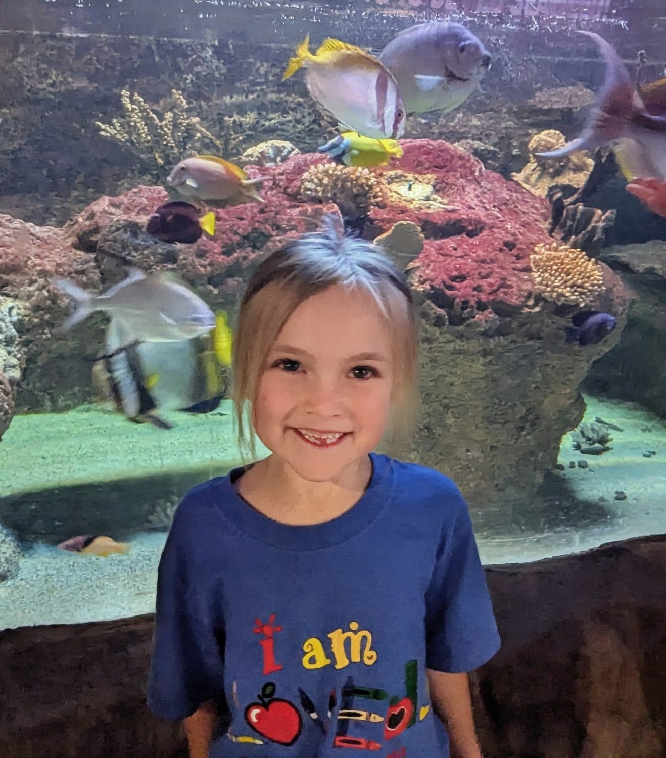 Field Trips (Inside), photo 2 of 10
