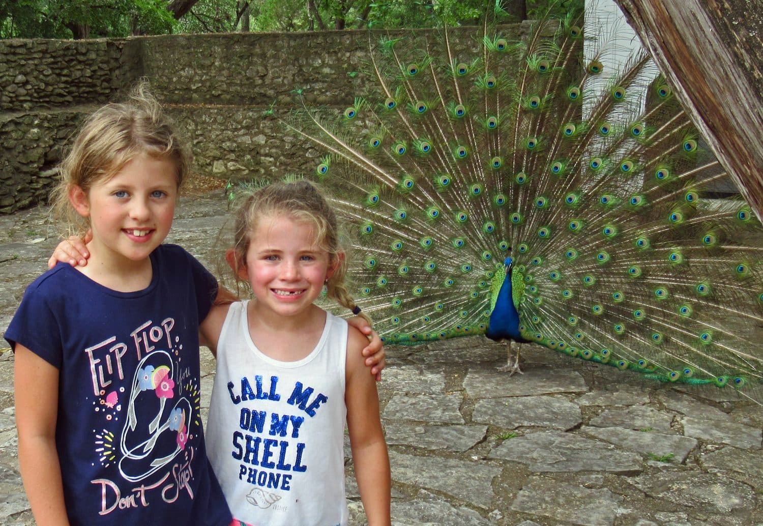 Field Trips (Outside), photo 1 of 10