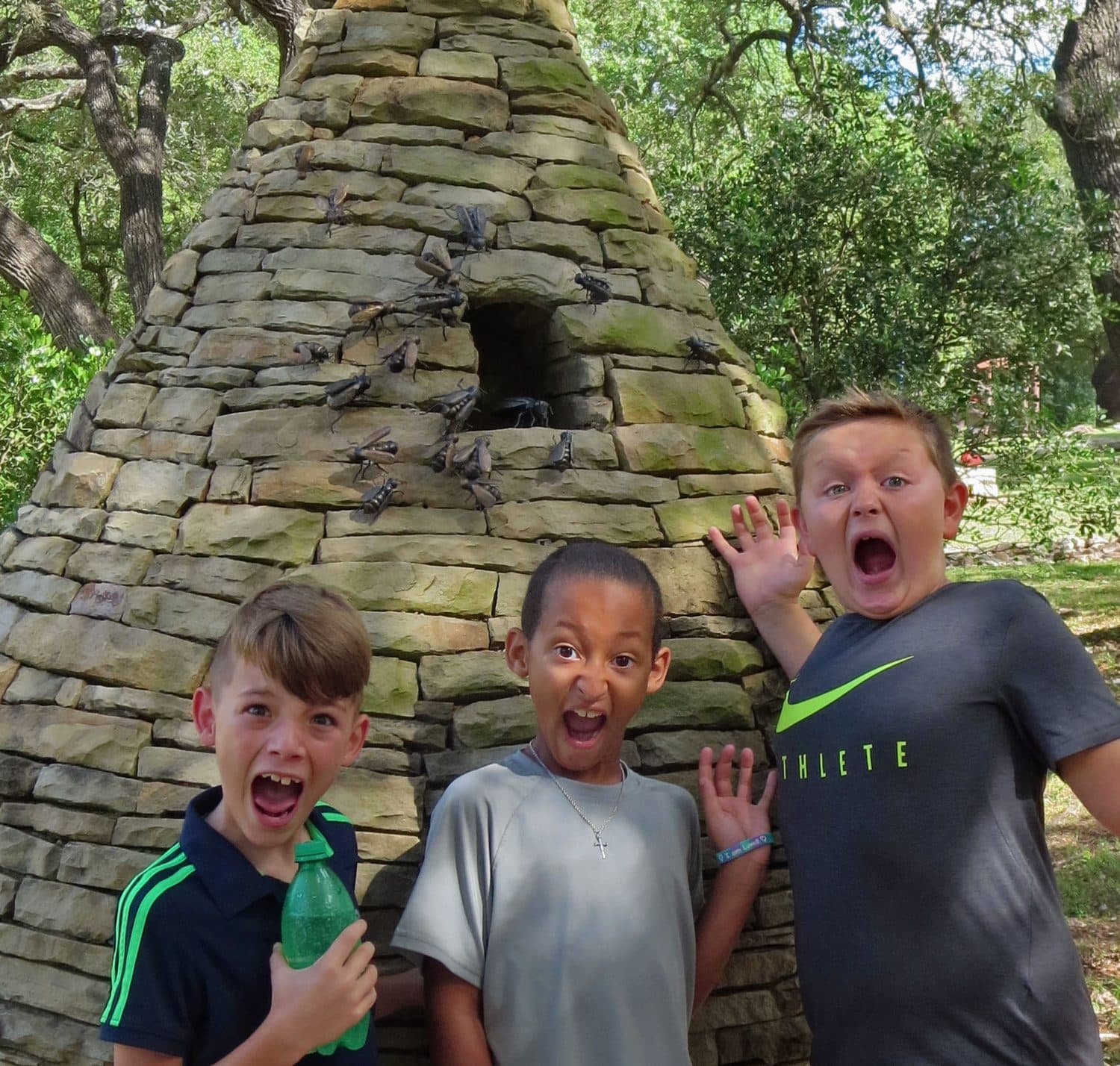 Field Trips (Outside), photo 10 of 10
