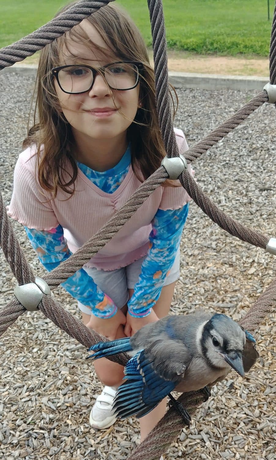 Recess, photo 2 of 10